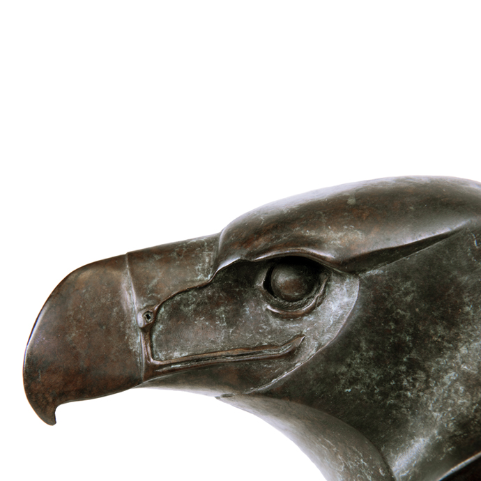Wedge Tailed Eagle Head – Lucy Mceachern